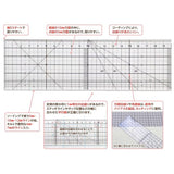 30cm Cutting Ruler with Grid Lines
