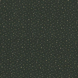 2026-03-A12, Price per 0.1m, Minimum order is 0.3m~ | Fabric, Sold by cutting to desired length