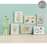 COSMO, Embroidery Kit with Printed Design, "Garden Sketchbook (with Frame) by Kazuko Aoki"