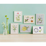 COSMO, Embroidery Kit with Printed Design, "Garden Sketchbook (with Frame) by Kazuko Aoki"
