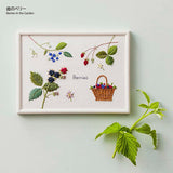 COSMO, Embroidery Kit with Printed Design, "Garden Sketchbook (with Frame) by Kazuko Aoki"