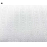 web20260725-01, Leno-weave Dobby Lace (Off-White, Stripe), Price per 0.1m, Minimum order is 0.3m~ | Fabric, Sold by cutting to desired length