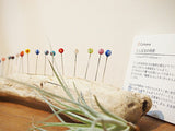 [ Cohana ] Tombo-dama Sewing Pins