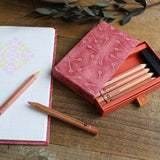 [ Cohana ] Mini Colored Pencils in Ukigami Box