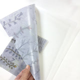 Original File Holder with Yoko Saito's work, A4, 1 piece